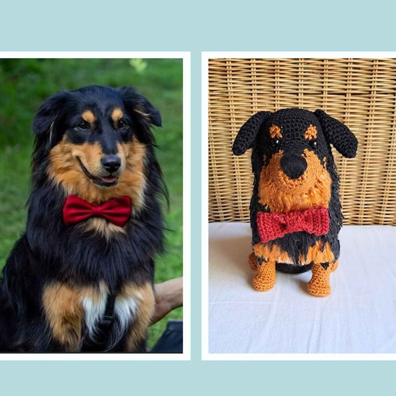 Handmade Personalized Plush Toys for Pets-ilovevango