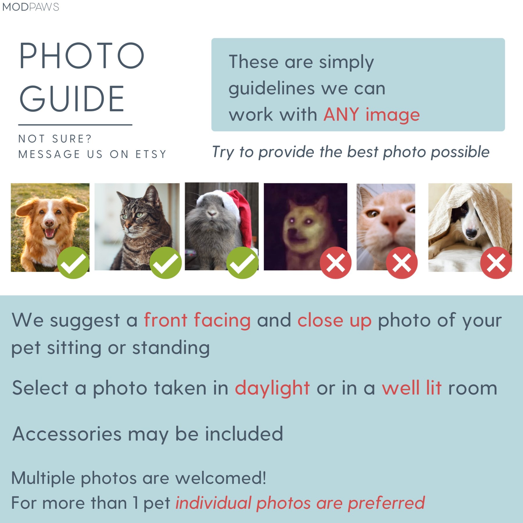 Personalized Pet Embroidered Center Sweatshirt