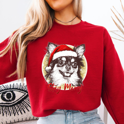 PetFiestas® Custom Pet Santa Hat Sweatshirt with Christmas Circle Background
