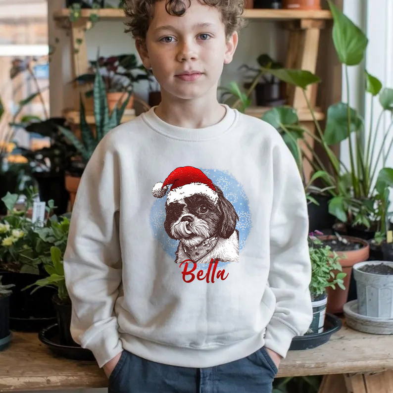 PetFiestas® Custom Pet Santa Hat Sweatshirt with Christmas Circle Background