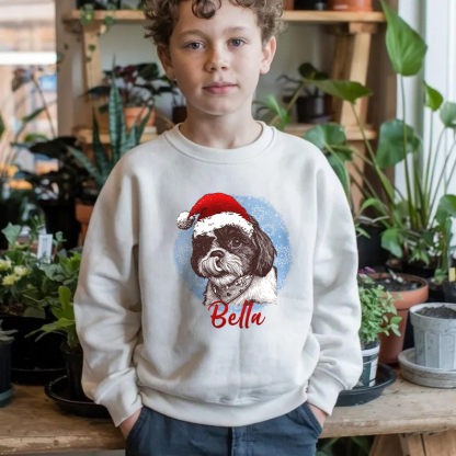 PetFiestas® Custom Pet Santa Hat Sweatshirt with Christmas Circle Background