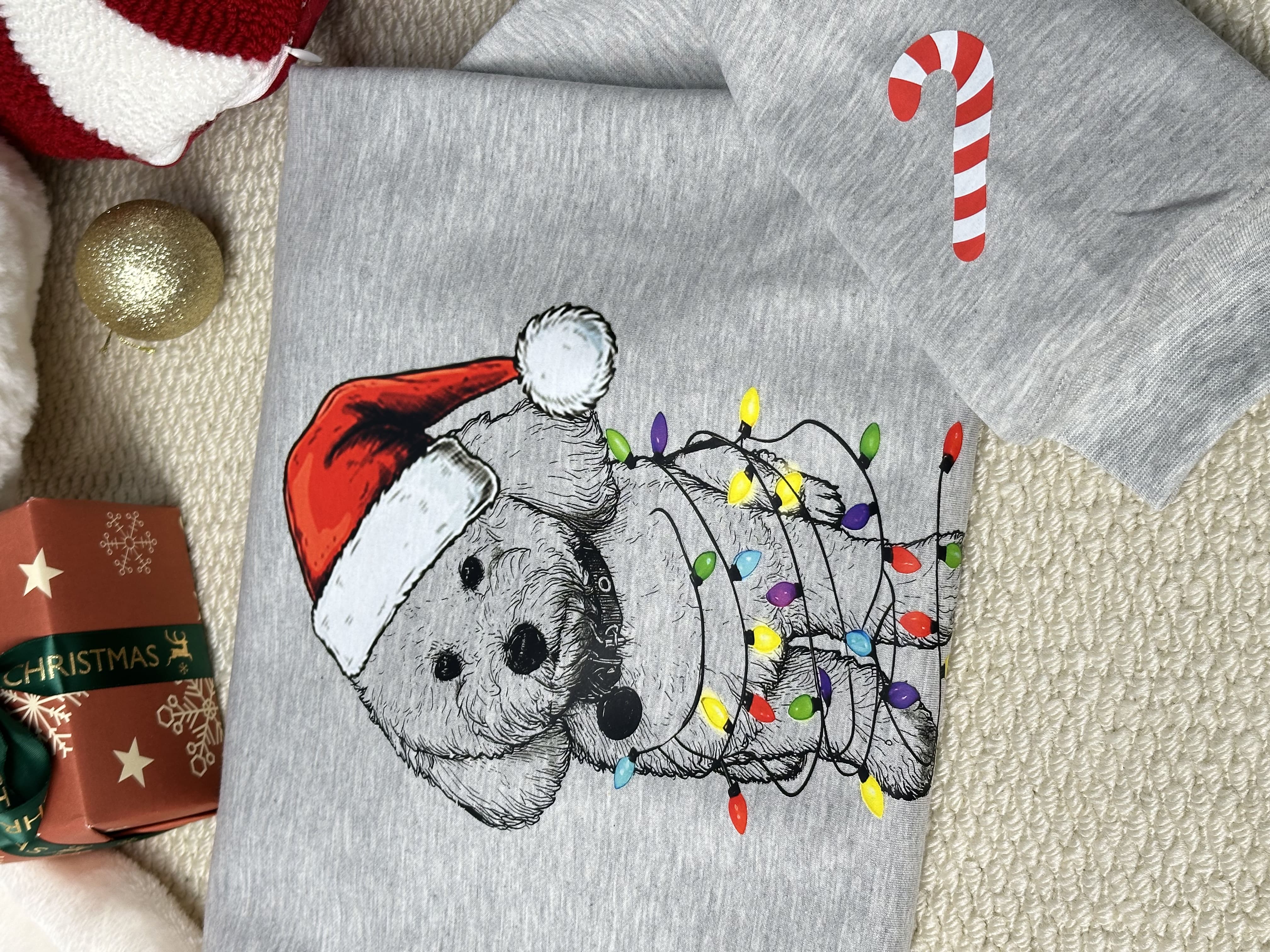 Custom Pet Christmas Crewneck with Santa Hat & Lights, Custom Dog Cat Graphic Tee