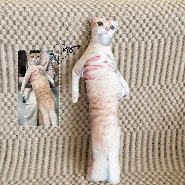 Ugly Pet Pillow Custom 3D Pet Portrait Throw Pillow