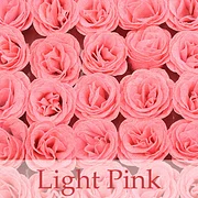 💕Glitter Rose Bouquet💕Couple Glitter Everlasting Rose Bouquet (Never Wither)