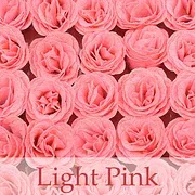 💕Glitter Rose Bouquet💕Couple Glitter Everlasting Rose Bouquet (Never Wither)