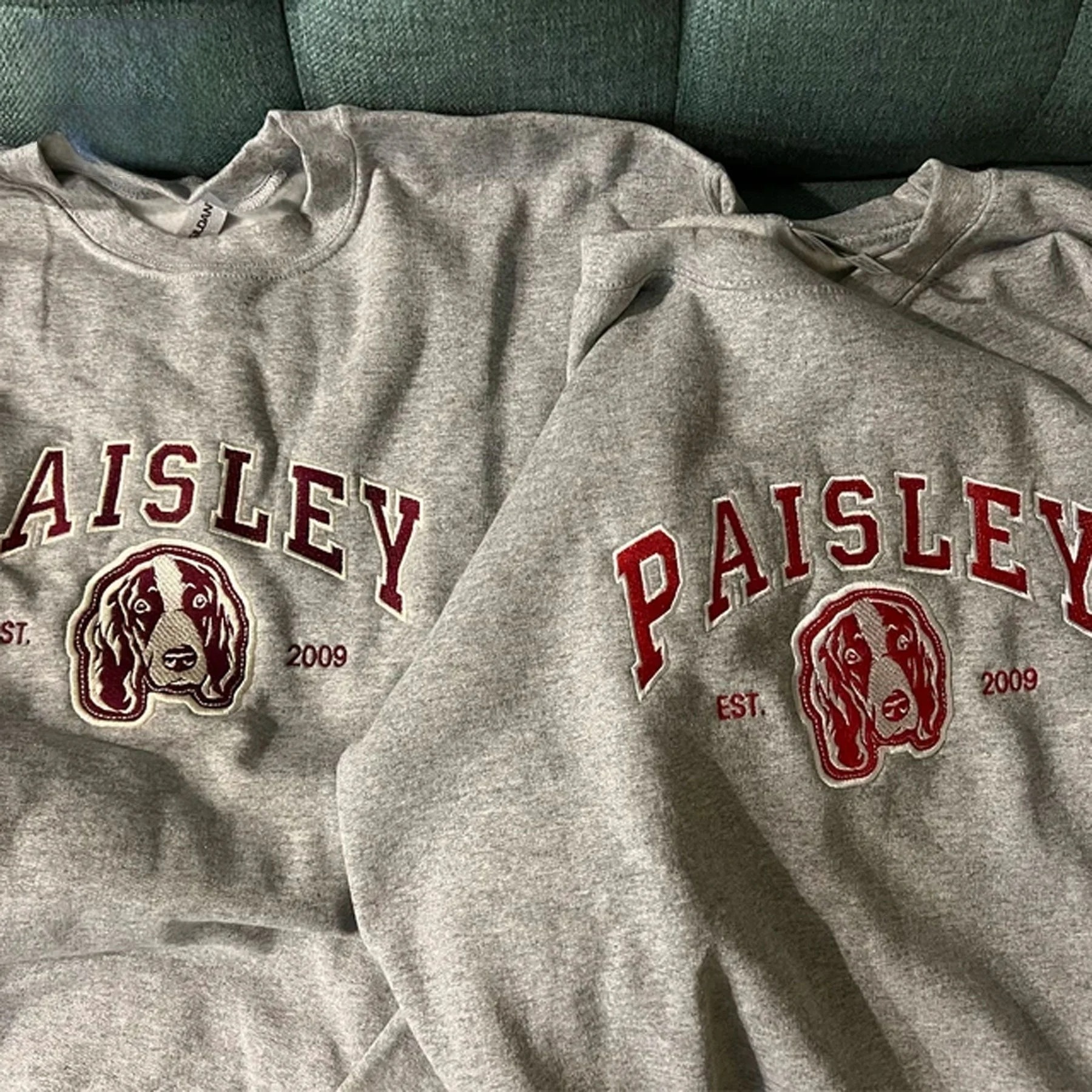 PetFiestas® Custom Pet Varsity Style Embroidered Sweatshirt Hoodie T-shirt