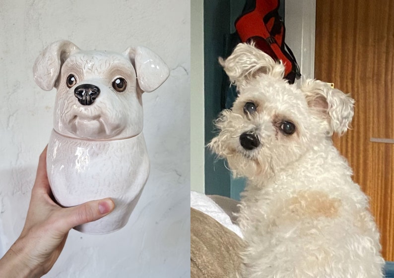 Custom Portrait Pet Urn for Ashes, Personalized Dog Pottery Container with Lid, Cat Storage Canister, Pet Loss Gift-ilovevango