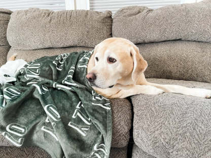 Personalized Blanket For Dog, Dog Blanket, Plush Dog Blanket, Dog Name Blanket, Gift For Dog Lover, Puppy Name Blanket, New Puppy Gift-ilovevango