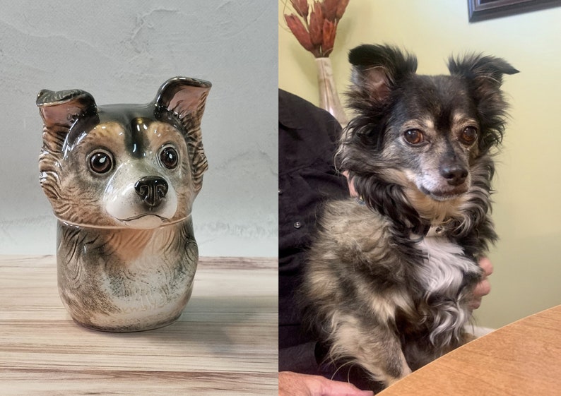 Custom Portrait Pet Urn for Ashes, Personalized Dog Pottery Container with Lid, Cat Storage Canister, Pet Loss Gift-ilovevango