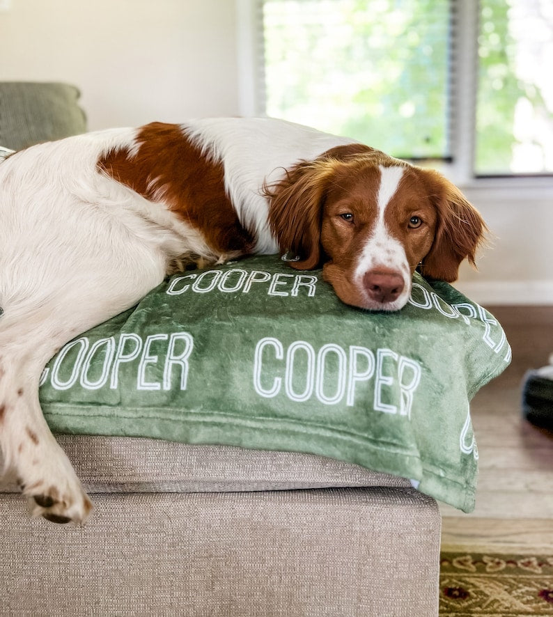 Personalized Blanket For Dog, Dog Blanket, Plush Dog Blanket, Dog Name Blanket, Gift For Dog Lover, Puppy Name Blanket, New Puppy Gift-ilovevango