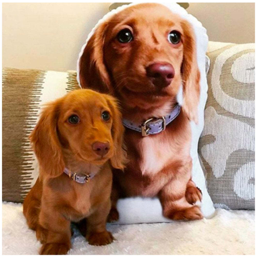 Custom Pet Pillow, Custom Pet Shaped Pillow, Christmas Gifts, Personalized Shaped Pillow, Custom Gifts, gift for dog mom, gift for dog dad-ilovevango