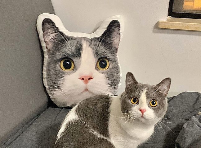 Personalized Pet Face Pillow Cushion Dolls Animal Image 3D Shaped Print Decorative Pillow Custom Dog Cat Picture Cushion Gift-ilovevango