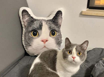 Personalized Pet Face Pillow Cushion Dolls Animal Image 3D Shaped Print Decorative Pillow Custom Dog Cat Picture Cushion Gift-ilovevango