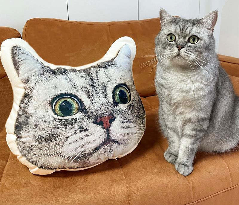Personalized Pet Face Pillow Cushion Dolls Animal Image 3D Shaped Print Decorative Pillow Custom Dog Cat Picture Cushion Gift-ilovevango