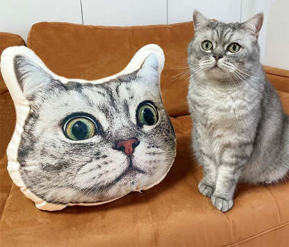Personalized Pet Face Pillow Cushion Dolls Animal Image 3D Shaped Print Decorative Pillow Custom Dog Cat Picture Cushion Gift-ilovevango