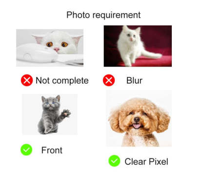 Personalized Pet Face Pillow Cushion Dolls Animal Image 3D Shaped Print Decorative Pillow Custom Dog Cat Picture Cushion Gift-ilovevango