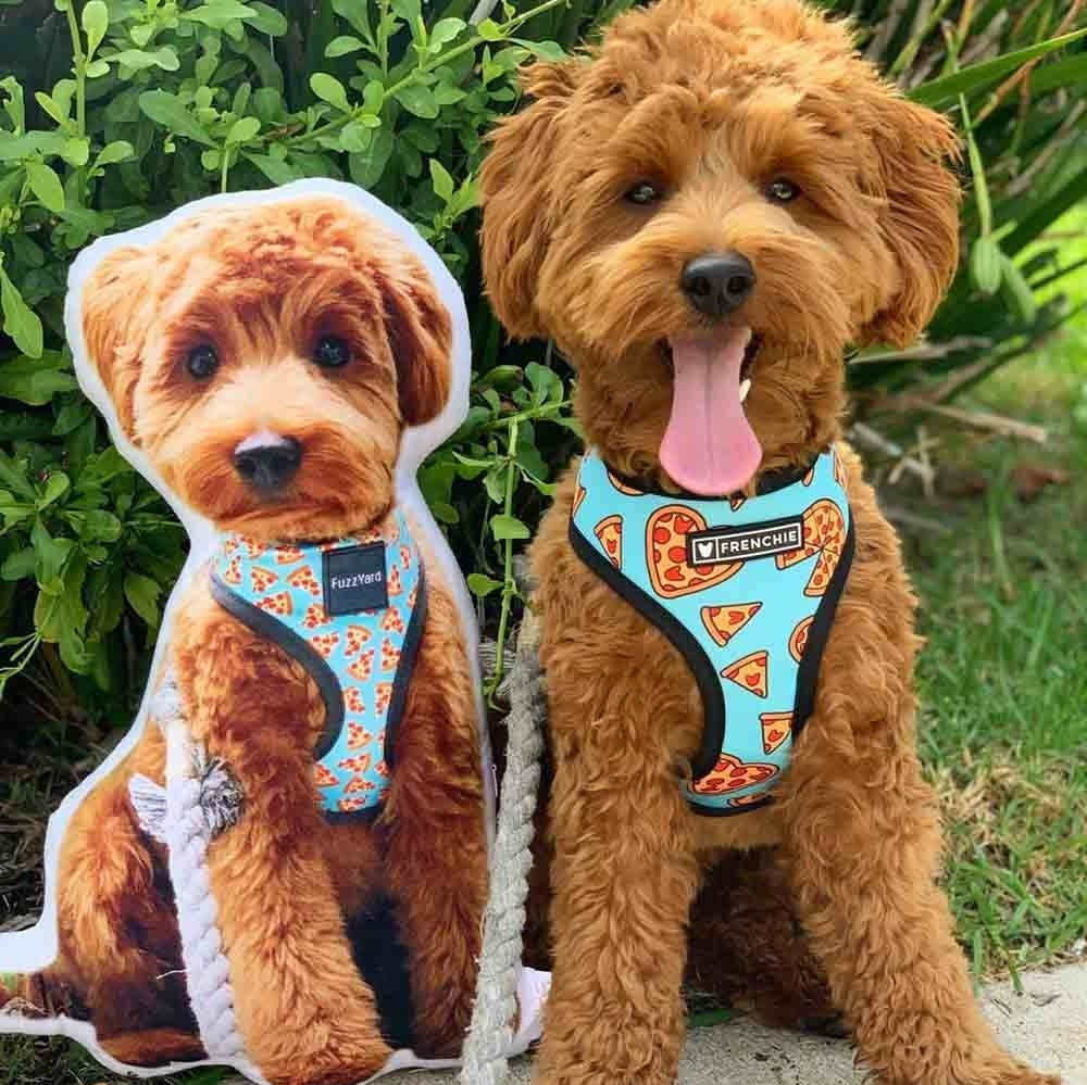 3D Personalised pet photo cushion animal pillow customised custom gift memorial mother day home accessories dog cat lover stuffed plushy-ilovevango