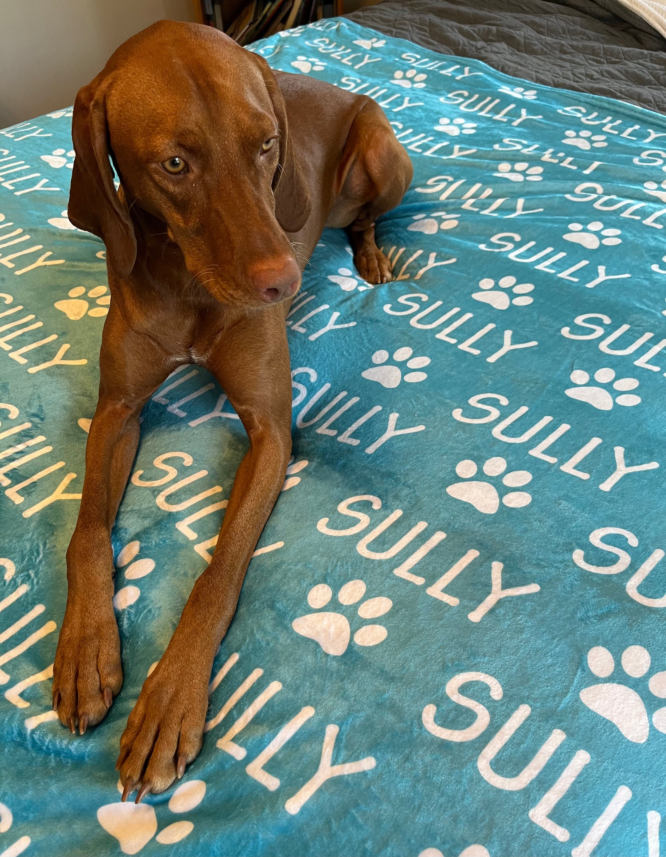 Personalized Pet Blanket | Custom Bedding for Pets | Customized Blankets for Dog and Cats | Blankets for pets-ilovevango
