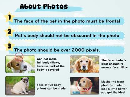 Custom Face Photo Pillow in Funny Idea Shape - Personalized 3D Photo Face Pillow - Custom Photo Pillow & Human Pillow-ilovevango