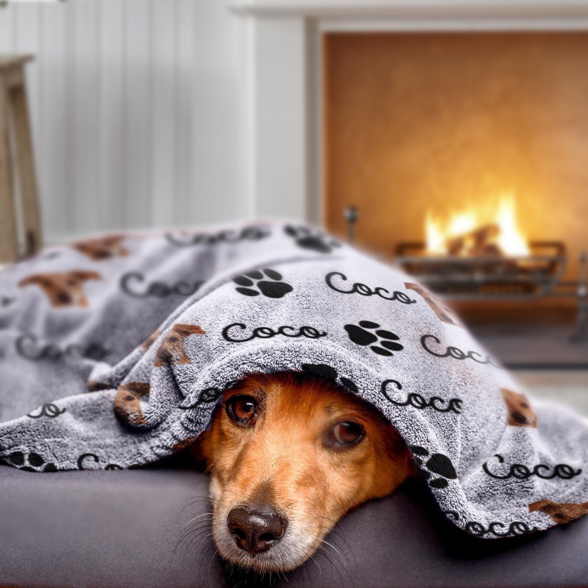 Personalized Pet Blanket | Custom Bedding for Pets | Customized Blankets for Dog and Cats | Blankets for pets-ilovevango