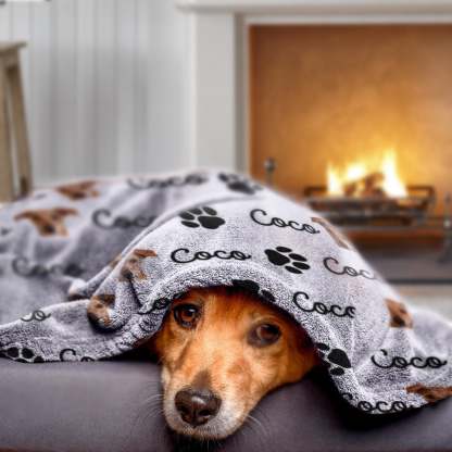 Personalized Pet Blanket | Custom Bedding for Pets | Customized Blankets for Dog and Cats | Blankets for pets-ilovevango