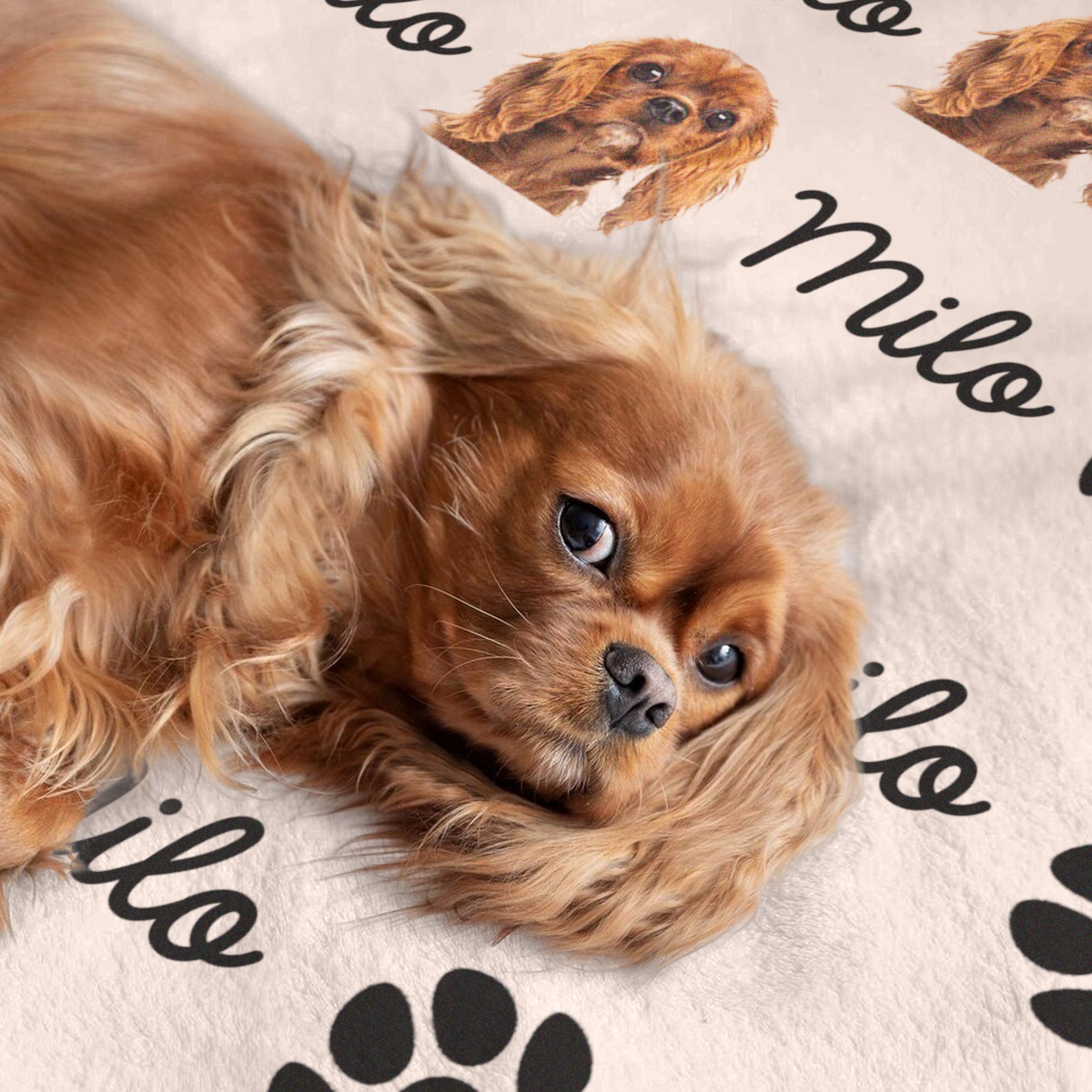 Personalized Pet Blanket | Custom Bedding for Pets | Customized Blankets for Dog and Cats | Blankets for pets-ilovevango