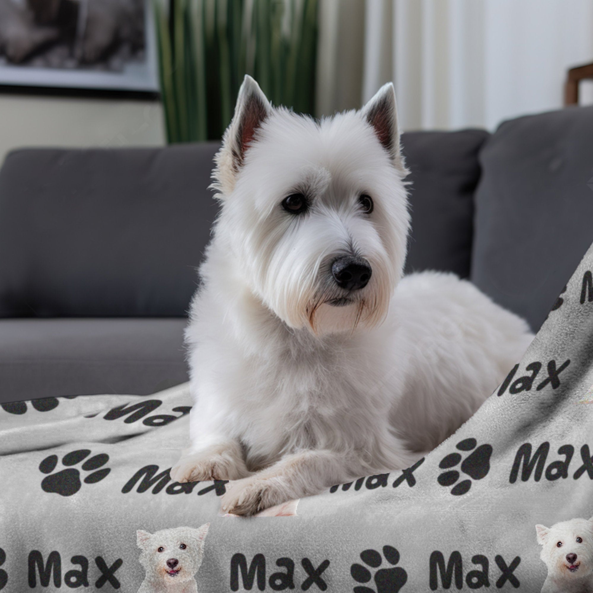 Personalized Pet Blanket | Custom Bedding for Pets | Customized Blankets for Dog and Cats | Blankets for pets-ilovevango