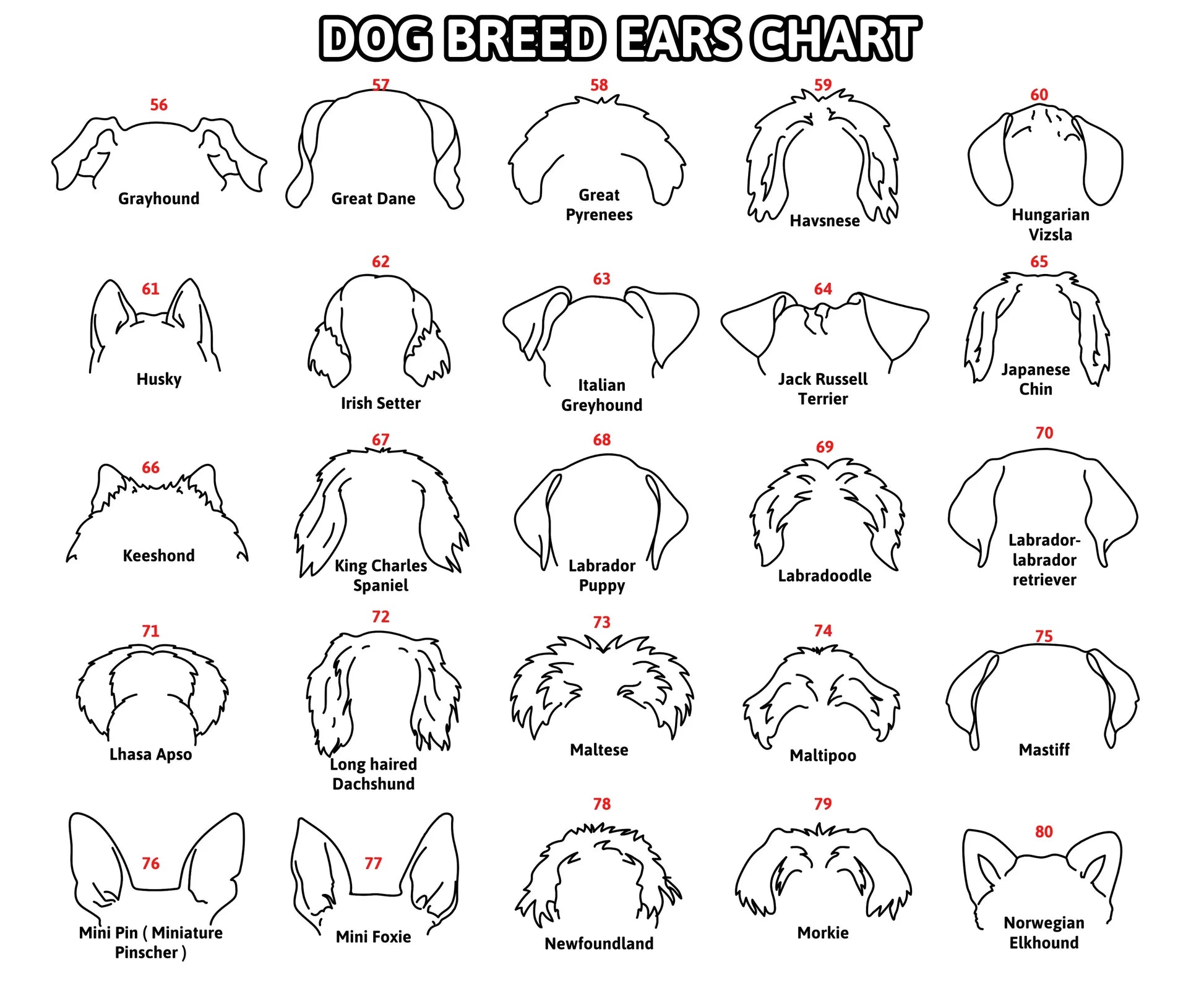 Personalized Selection Of Pet Ear Style Frames For Pet Lovers