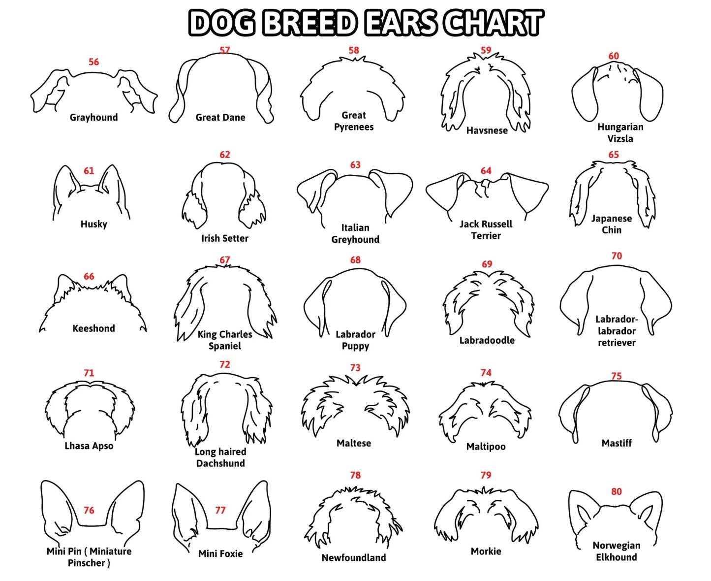 Personalized Selection Of Pet Ear Style Frames For Pet Lovers