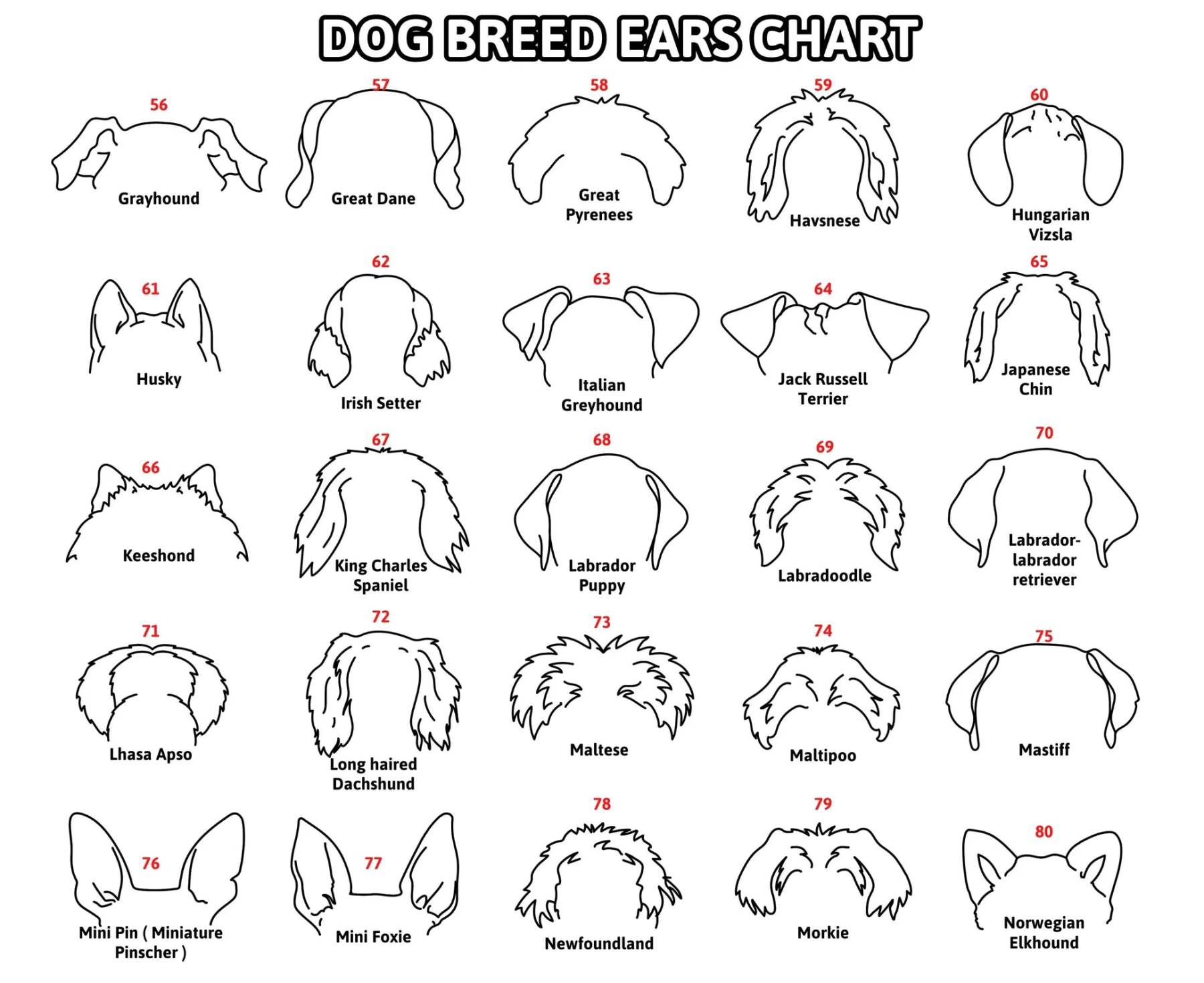 Personalized Pet Collar Frame Optional Pet Ear Style With Paw Print Memorial Gift