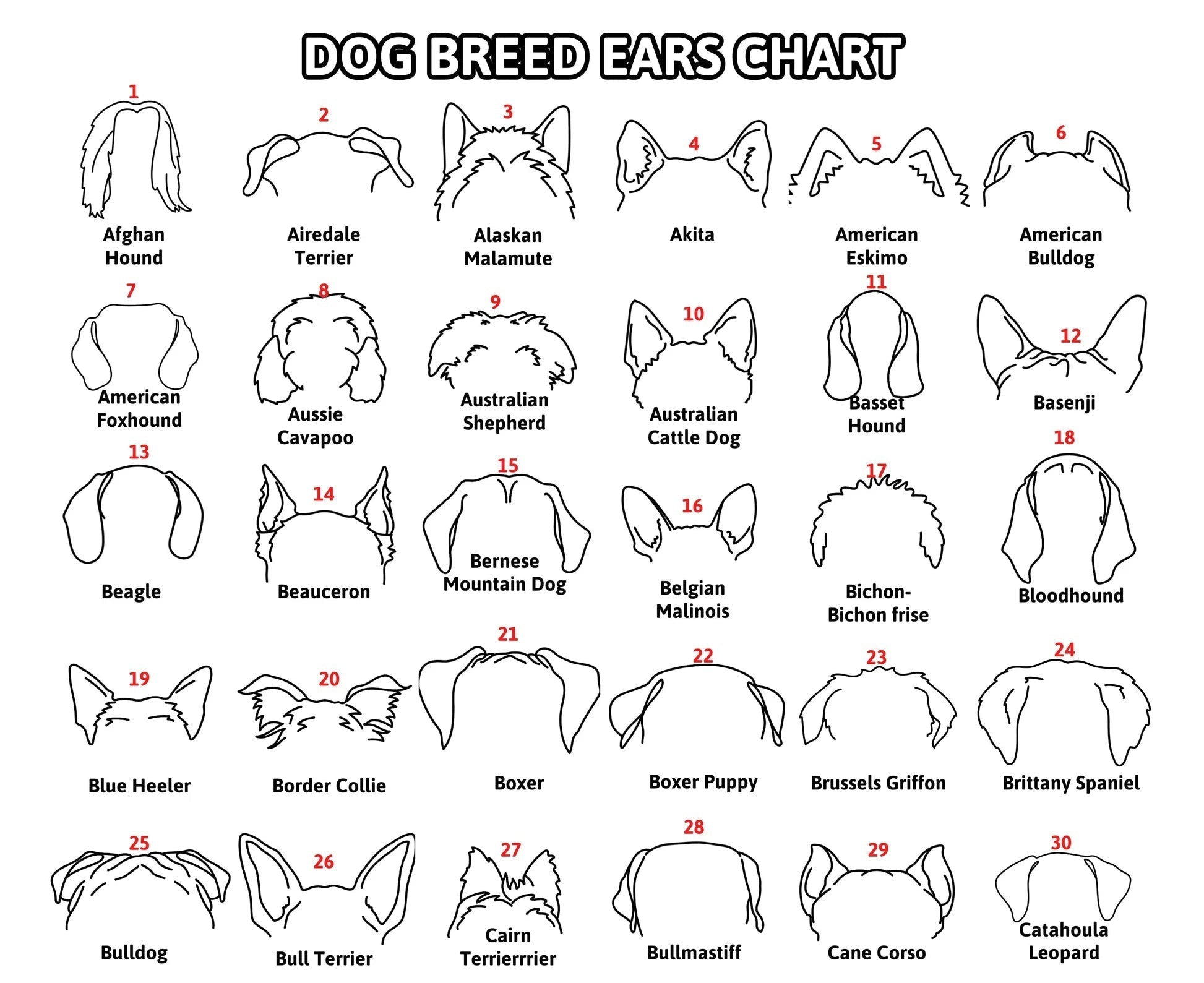 Personalized Pet Collar Frame Optional Pet Ear Style With Paw Print Memorial Gift