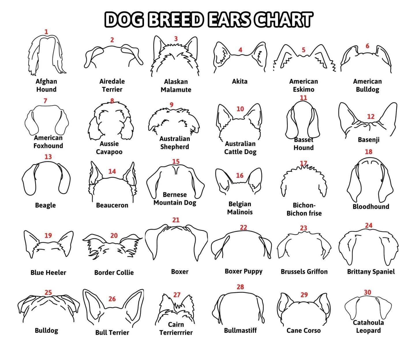 Personalized Pet Collar Frame Optional Pet Ear Style With Paw Print Memorial Gift