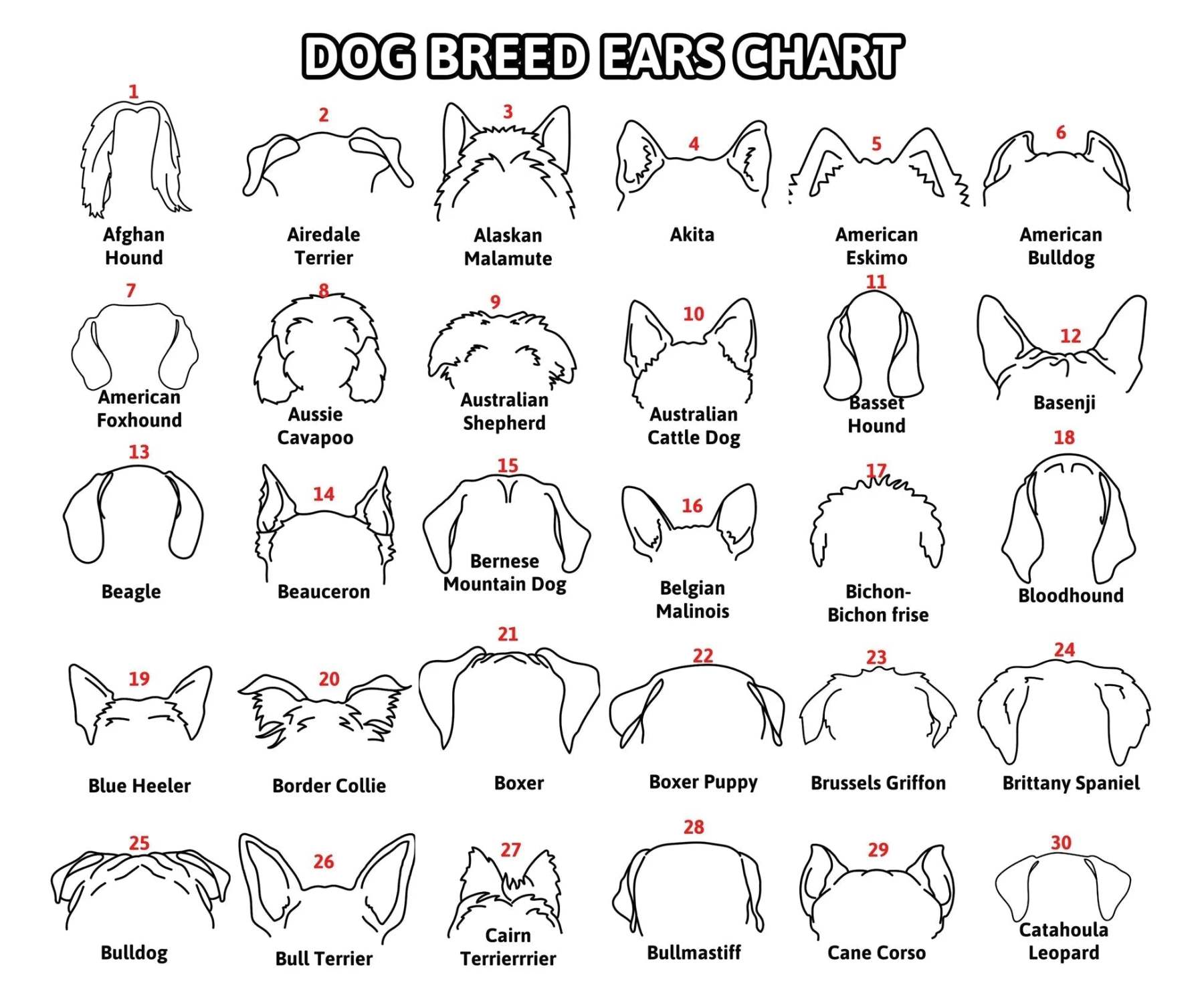 Personalized Pet Collar Frame Optional Pet Ear Style With Paw Print Memorial Gift