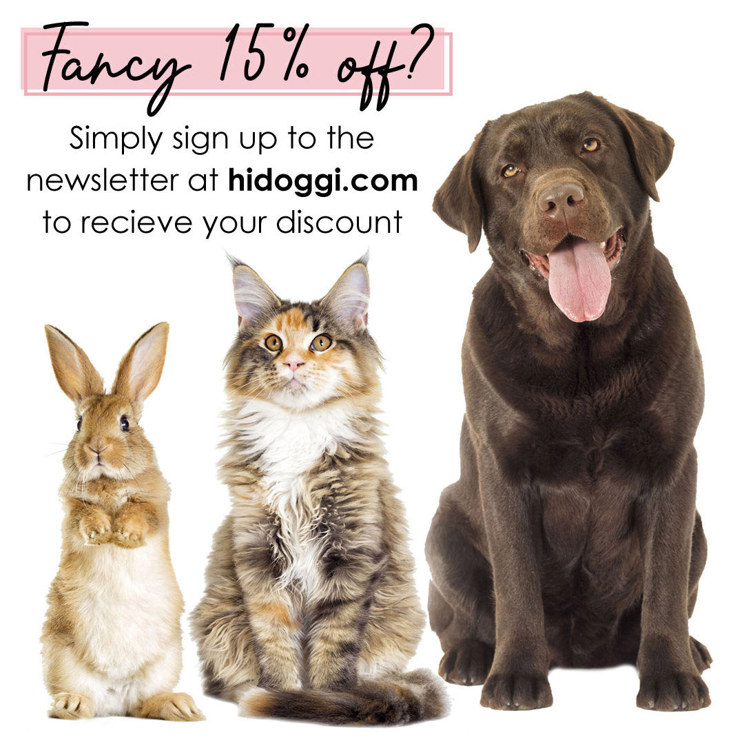 Personalised Christmas fun jumper sweater | Womens Mens Kids black crewneck sweatshirt | Add custom dog cat rabbit pet photo face picture-ilovevango