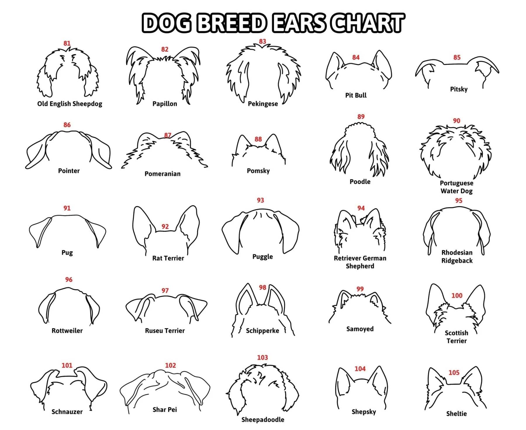 Personalized Pet Collar Frame Optional Pet Ear Style With Paw Print Memorial Gift