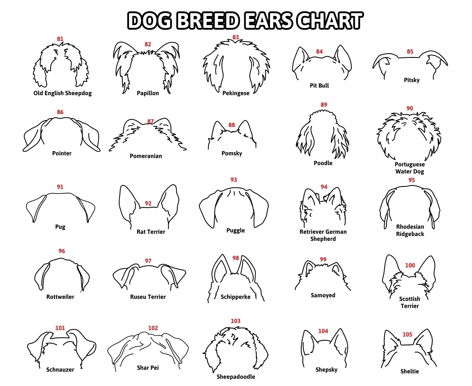 Personalized Selection Of Pet Ear Style Frames For Pet Lovers