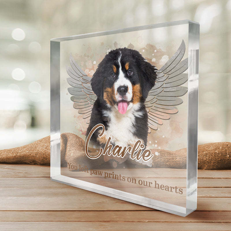 Pets Teach Us The Purest Kind Of Love - Memorial Personalized Custom Square Shaped Acrylic Plaque - Sympathy Gift, Gift For Pet Owners, Pet Lovers-ilovevango