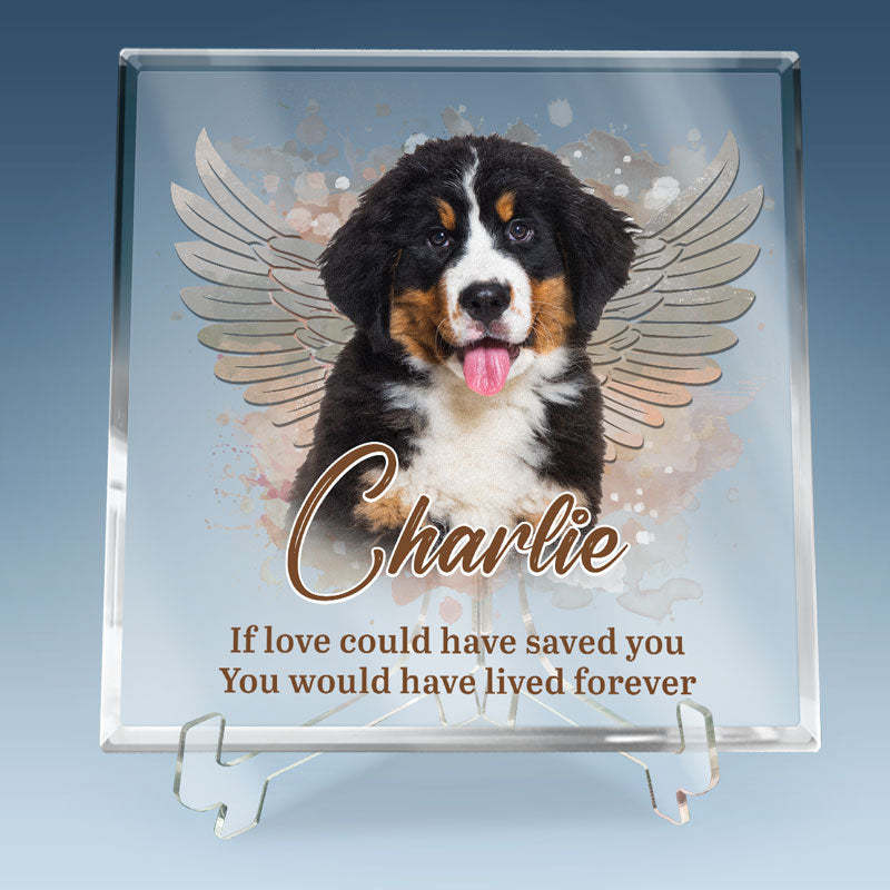Pets Teach Us The Purest Kind Of Love - Memorial Personalized Custom Square Shaped Acrylic Plaque - Sympathy Gift, Gift For Pet Owners, Pet Lovers-ilovevango