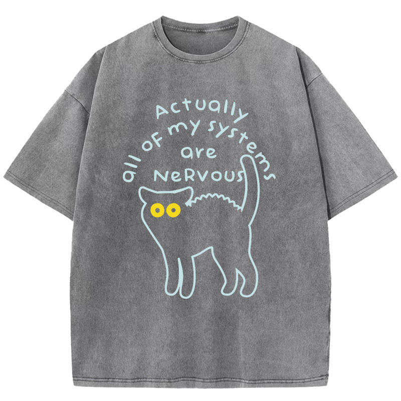 Actually All Of My Systems Are Nervous Washed T-Shirt