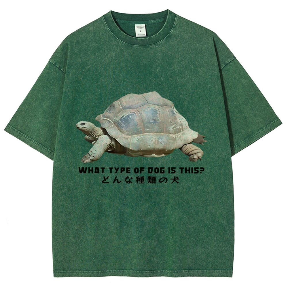  Slow Crawling Dog Washed T-Shirt