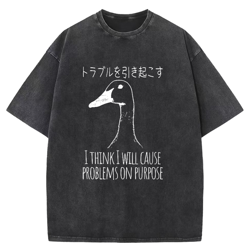  Silly Goose Funny Washed T-Shirt