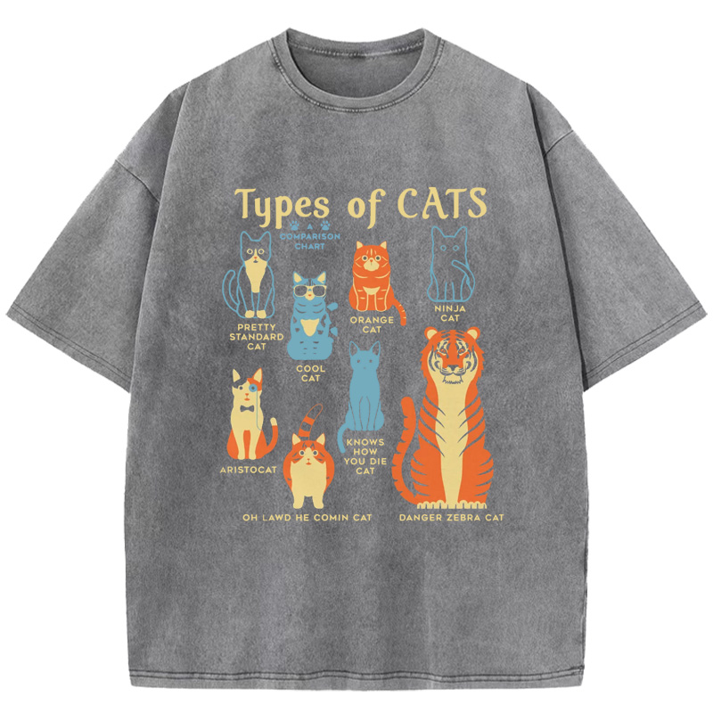 Types Of Cats Washed T-Shirt