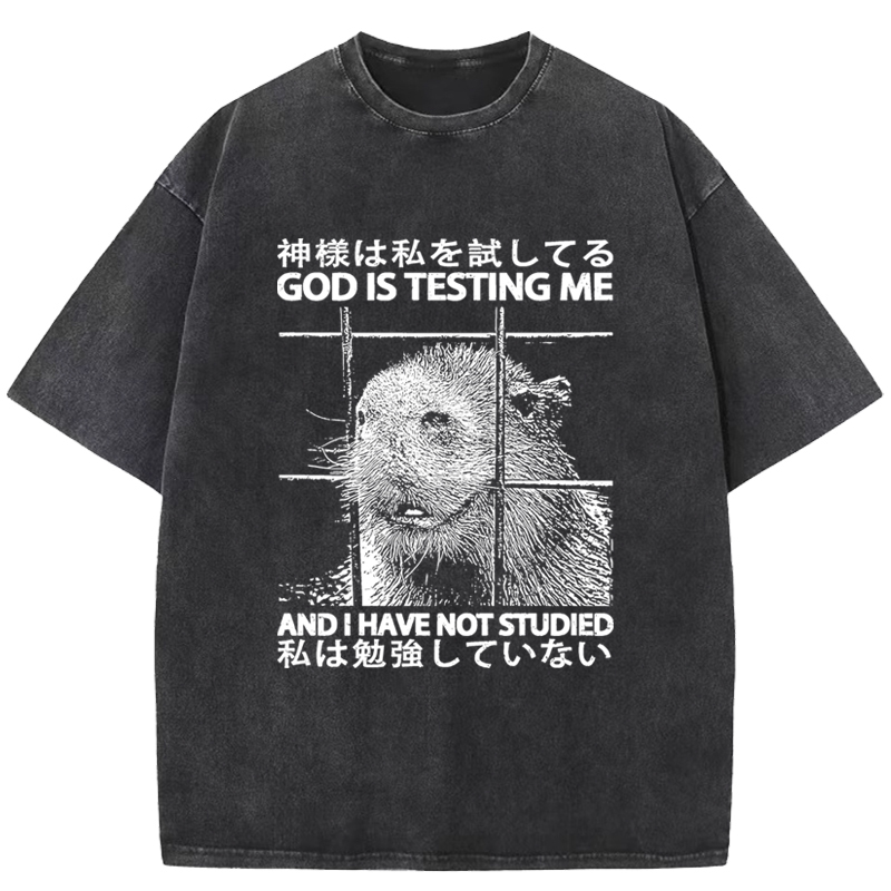 God Is Testing Me Washed T-Shirt