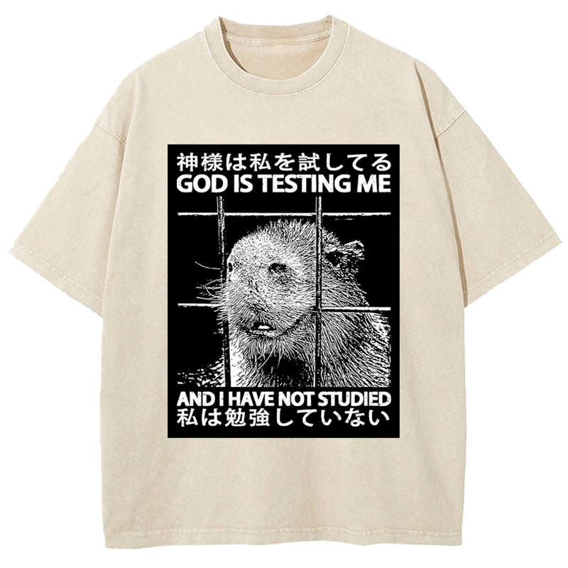God Is Testing Me Washed T-Shirt