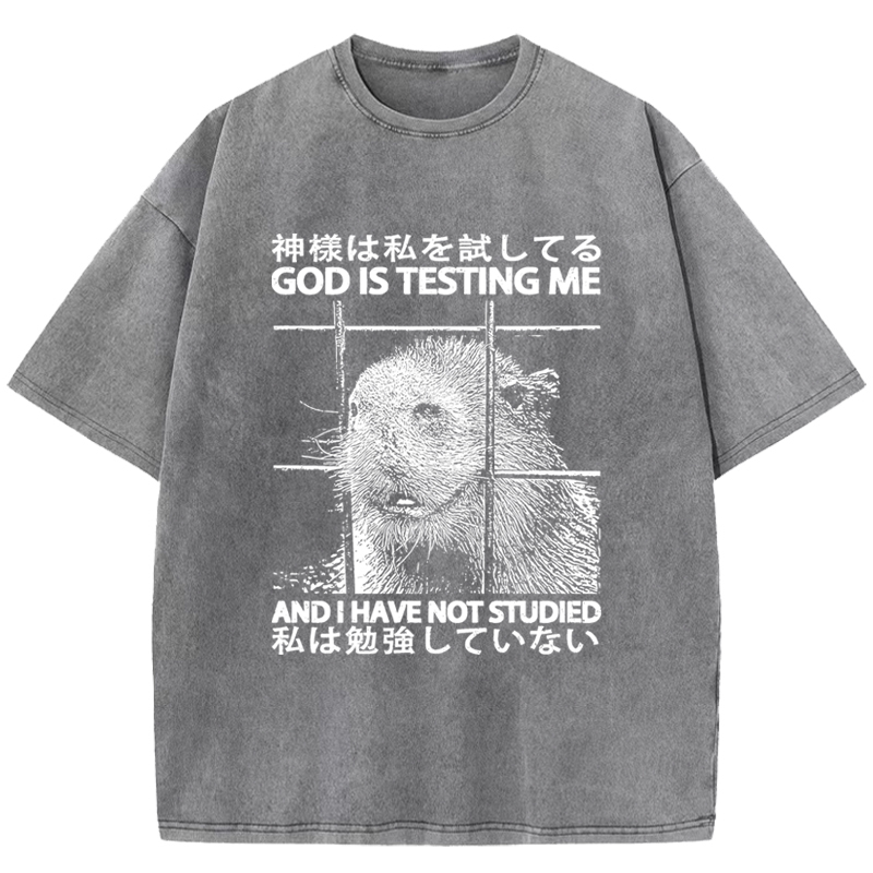 God Is Testing Me Washed T-Shirt