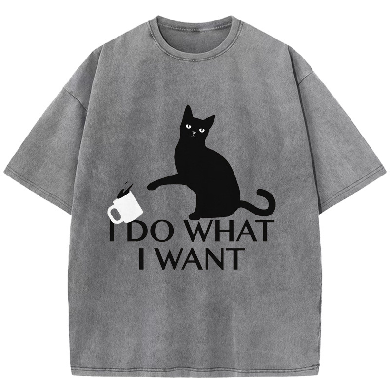 I Do What I Want Washed T-Shirt