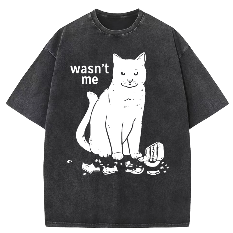 Wasn't Me Washed T-Shirt