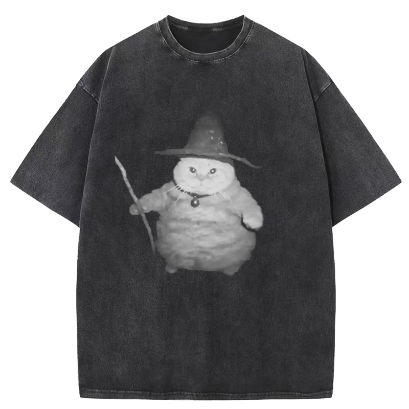  Wizard Cat Washed T-Shirt