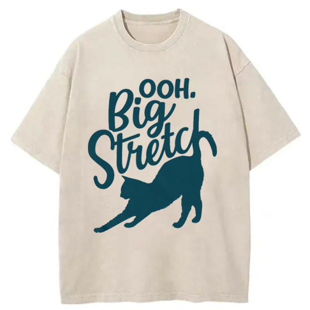  Big Stretch Washed T-Shirt