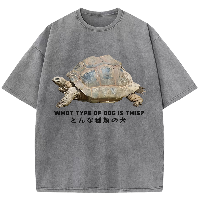  Slow Crawling Dog Washed T-Shirt